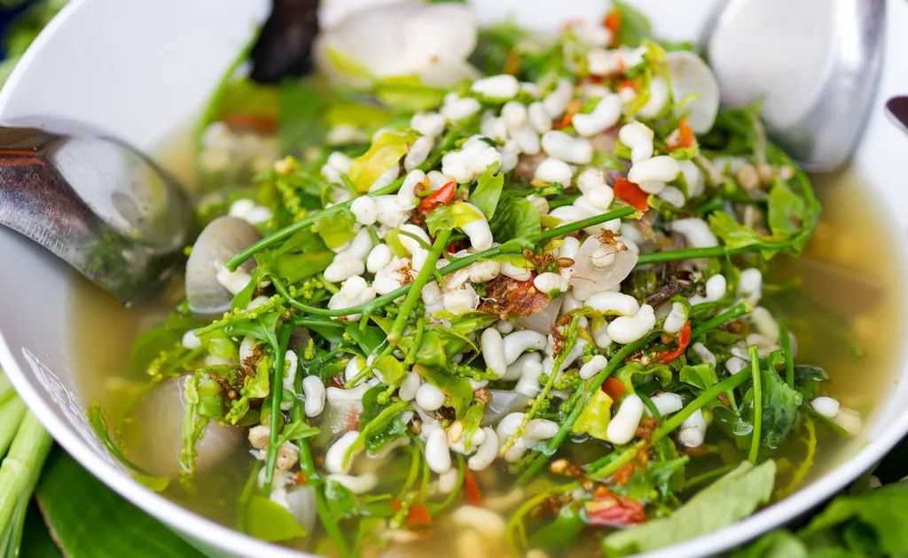 In Colombia, Ants are Consumed as Snacks