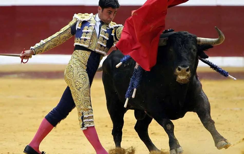 Bullfighting: A Deep - Rooted Passion in Spain