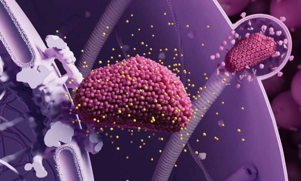 Gilead's HIV Drug Lenacapavir Shows 100% Efficacy in Prevention